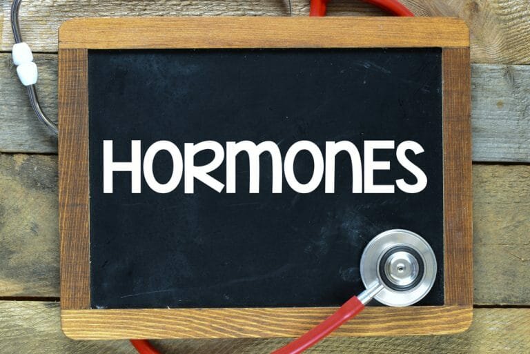 Секреция гормонов – принципы и особенности