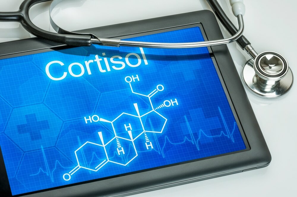 Кортизол - гормон стресса